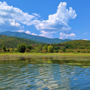 Lake Kerkini & Wine Heritage Journey From Thessaloniki | The Audio-Narrative Edition